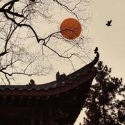 若梦（DJ德朋版）