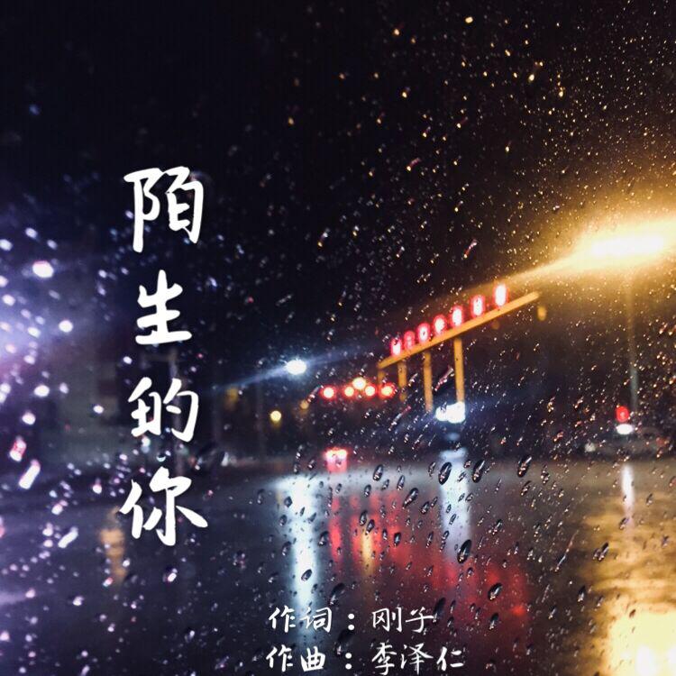 陌生的你专辑