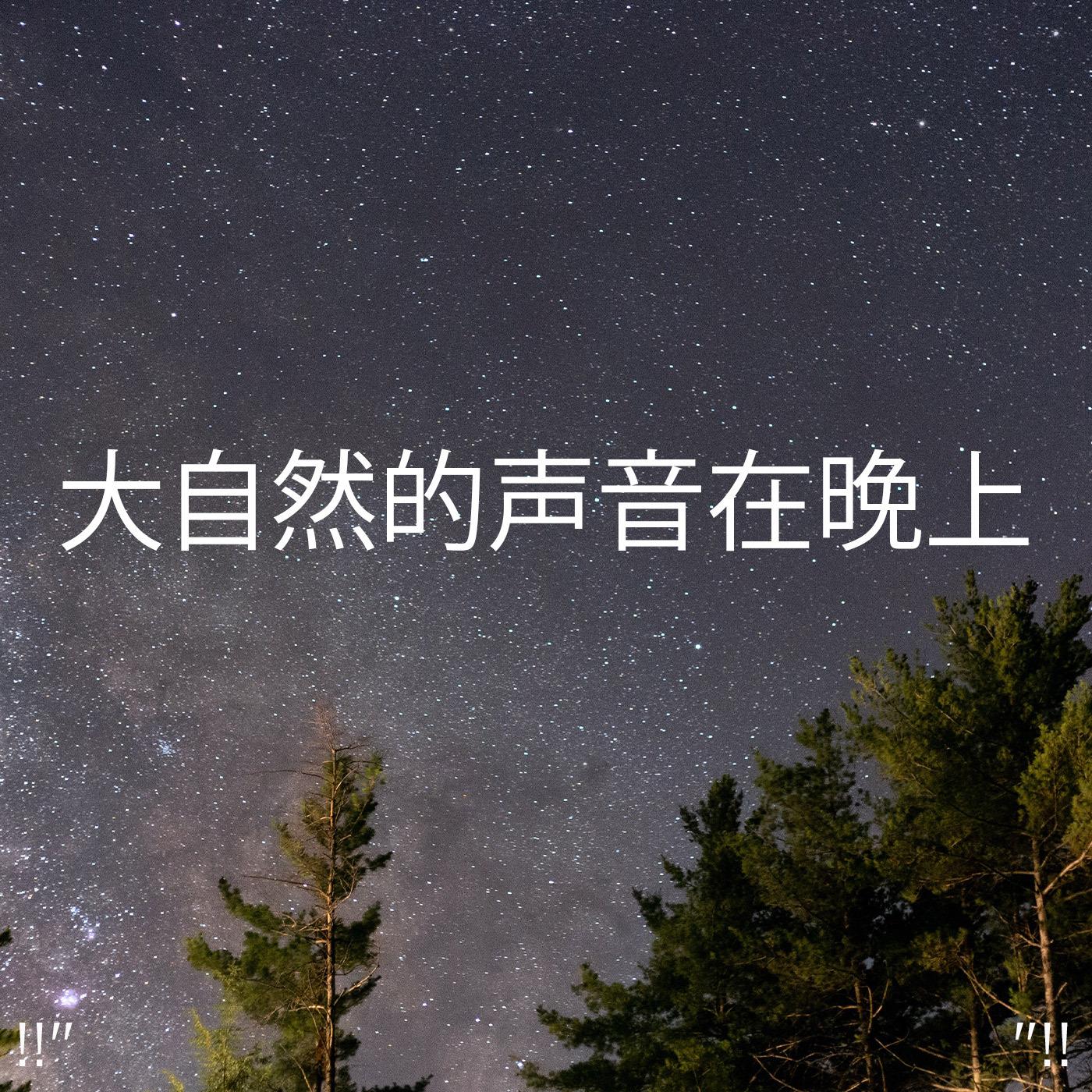 !!" 大自然的声音在晚上 "!!