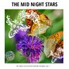 Tremendous Nature Blessings Project - So Close to Summer Nights