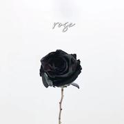 [Free] "Black Rose"