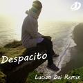 Despacito（Lucian Dai EDM Remix）