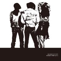 Blankey Jet City - 嘆きの白 (Live at 川崎クラブチッタ / 1994)