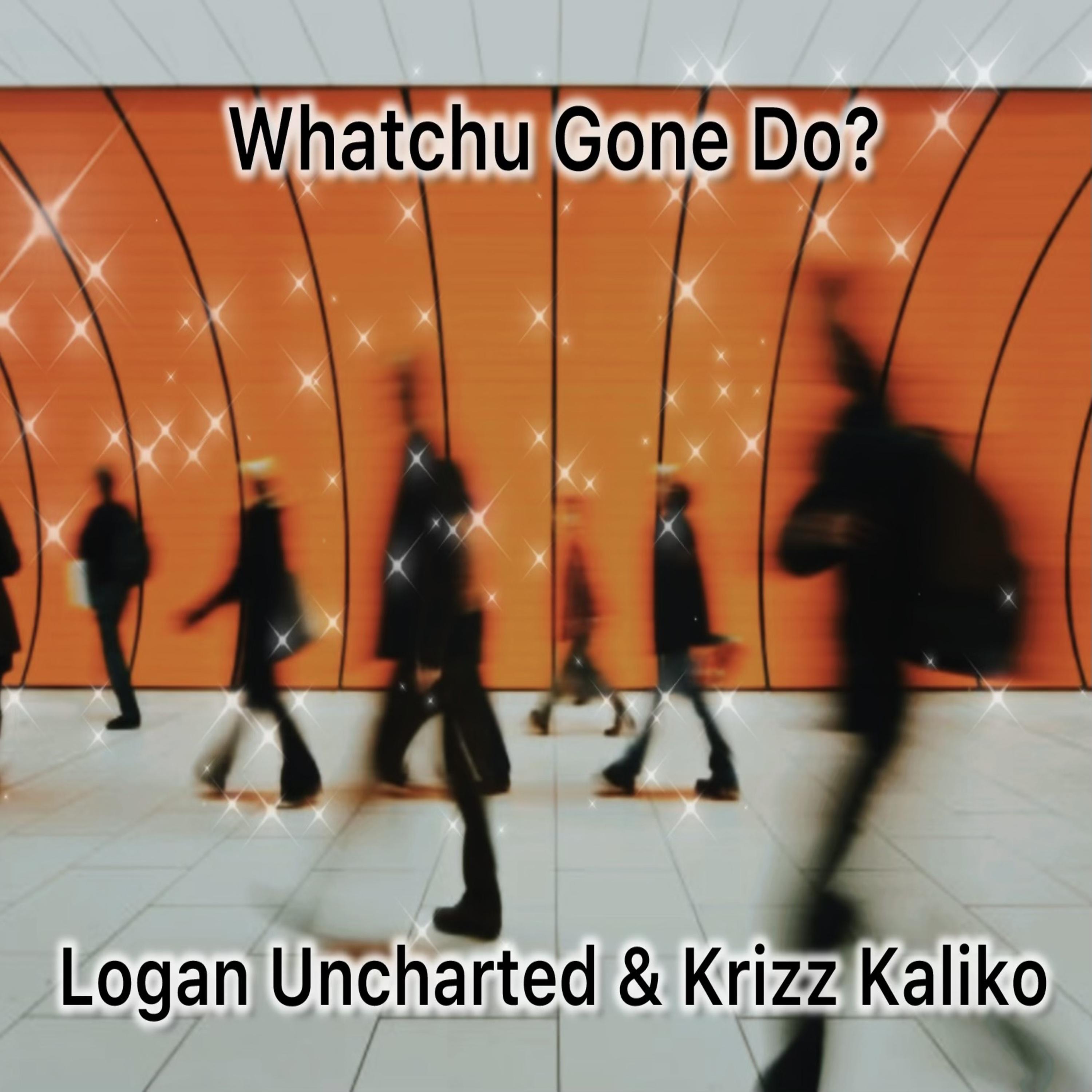 Whatchu Gone Do? (feat. Krizz Kaliko)