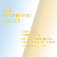 New Kid In Town - The Eagles (karaoke)