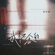 我怀念的
