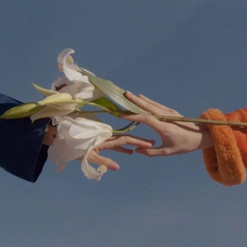 月光下翩翩起舞(Prod.by Morrow)