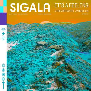 Sigala、Trevor Daniel、24KGoldn - It's A Feeling (精消 带伴唱)伴奏