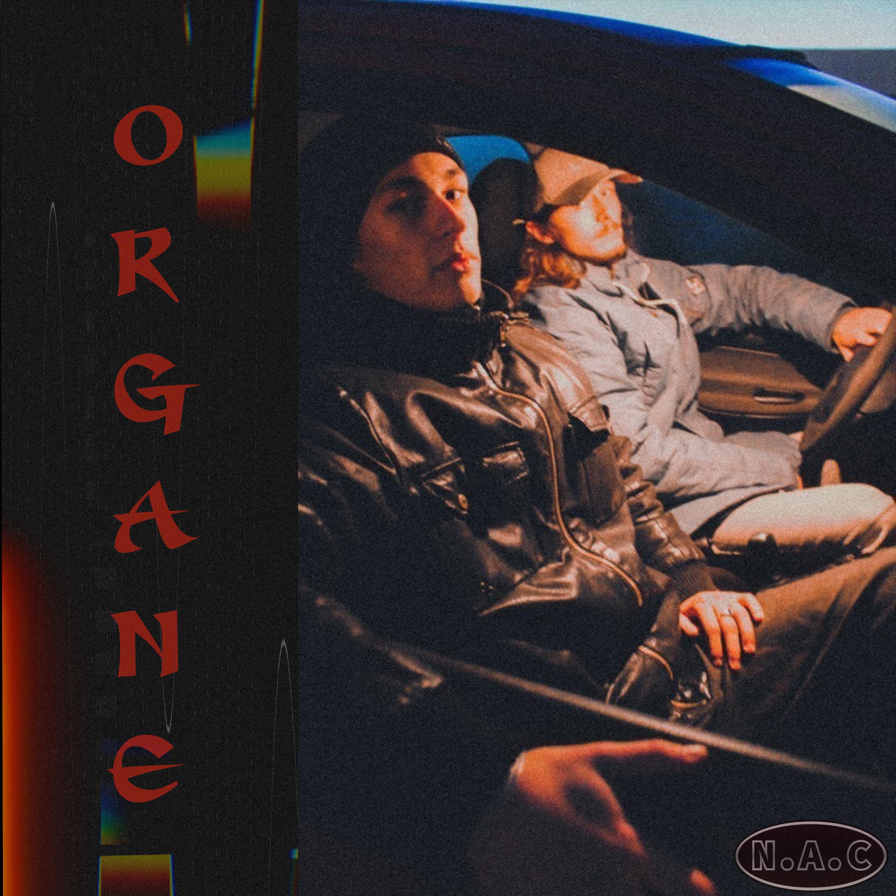 Organe