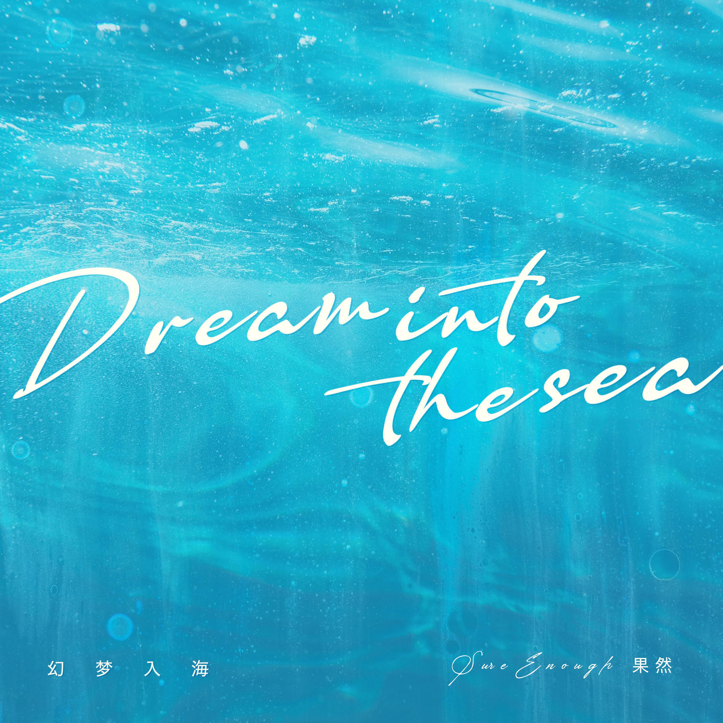 幻梦入海（Dream into the sea）专辑