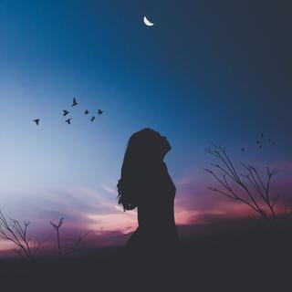 深夜网易云·16