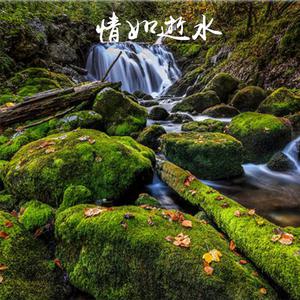 颜菁 - 情如逝水