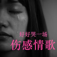 迪克牛仔《有多少愛可以重來吉他谱》C调_完美编曲设计