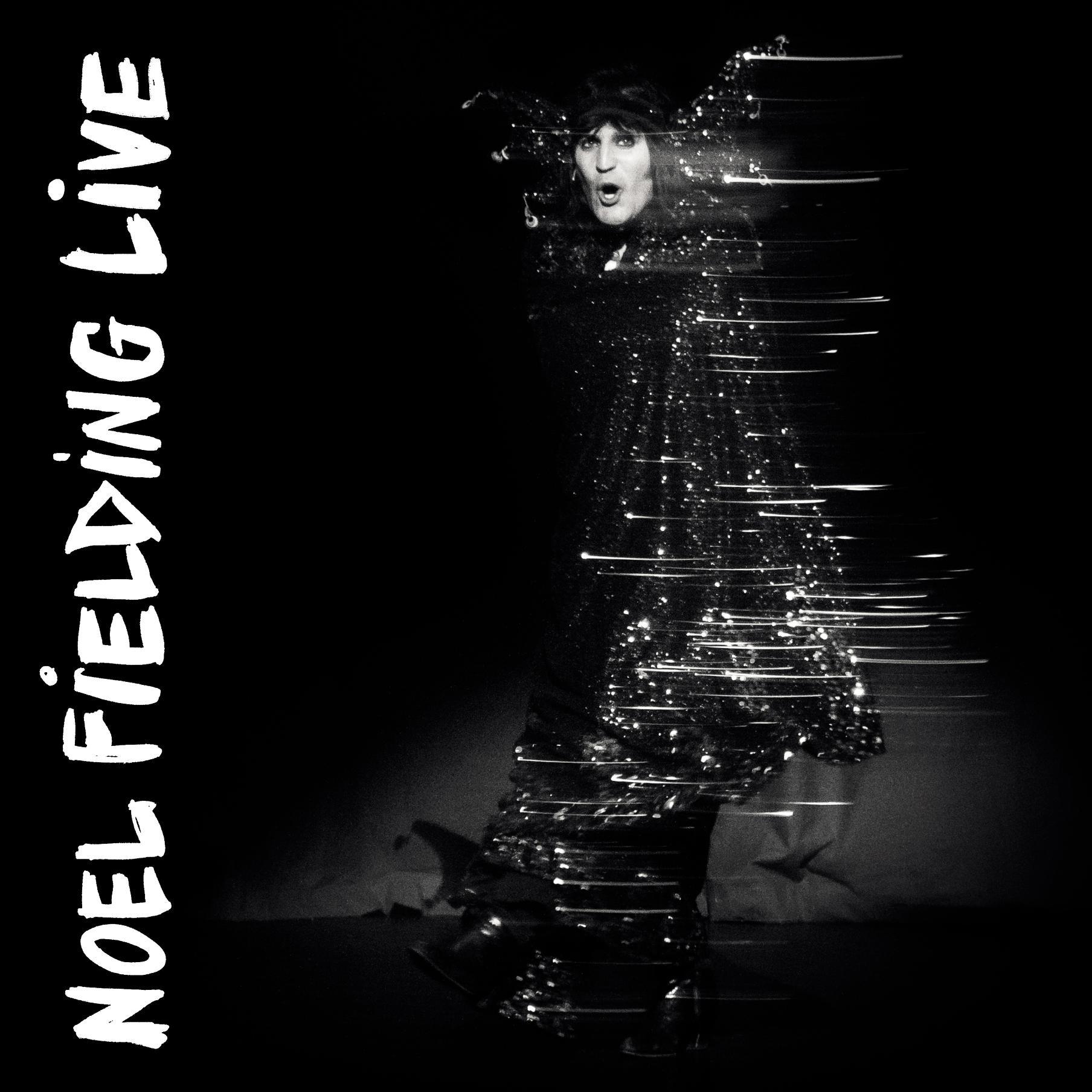 Noel Fielding Live