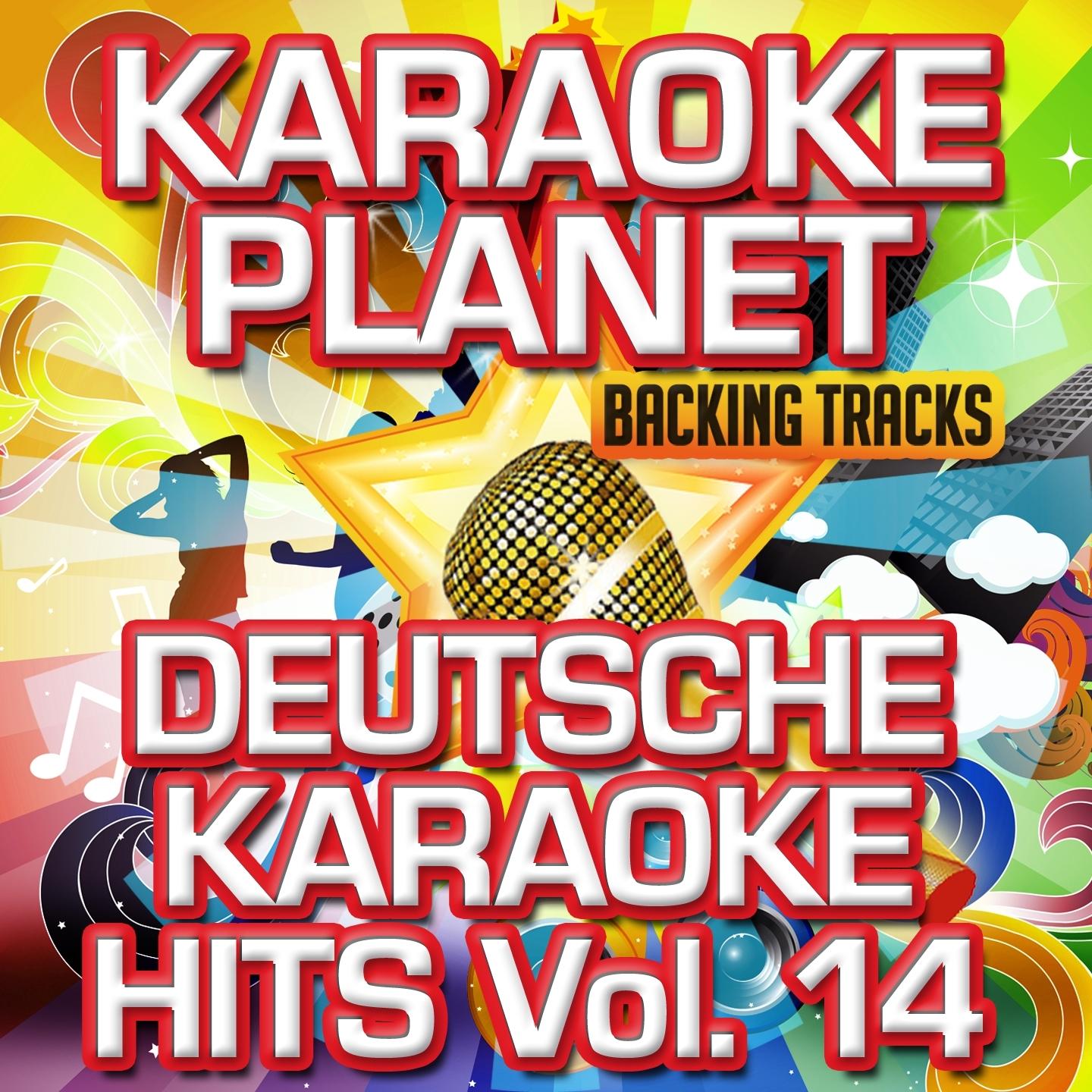Deutsche Karaoke Hits, Vol. 14