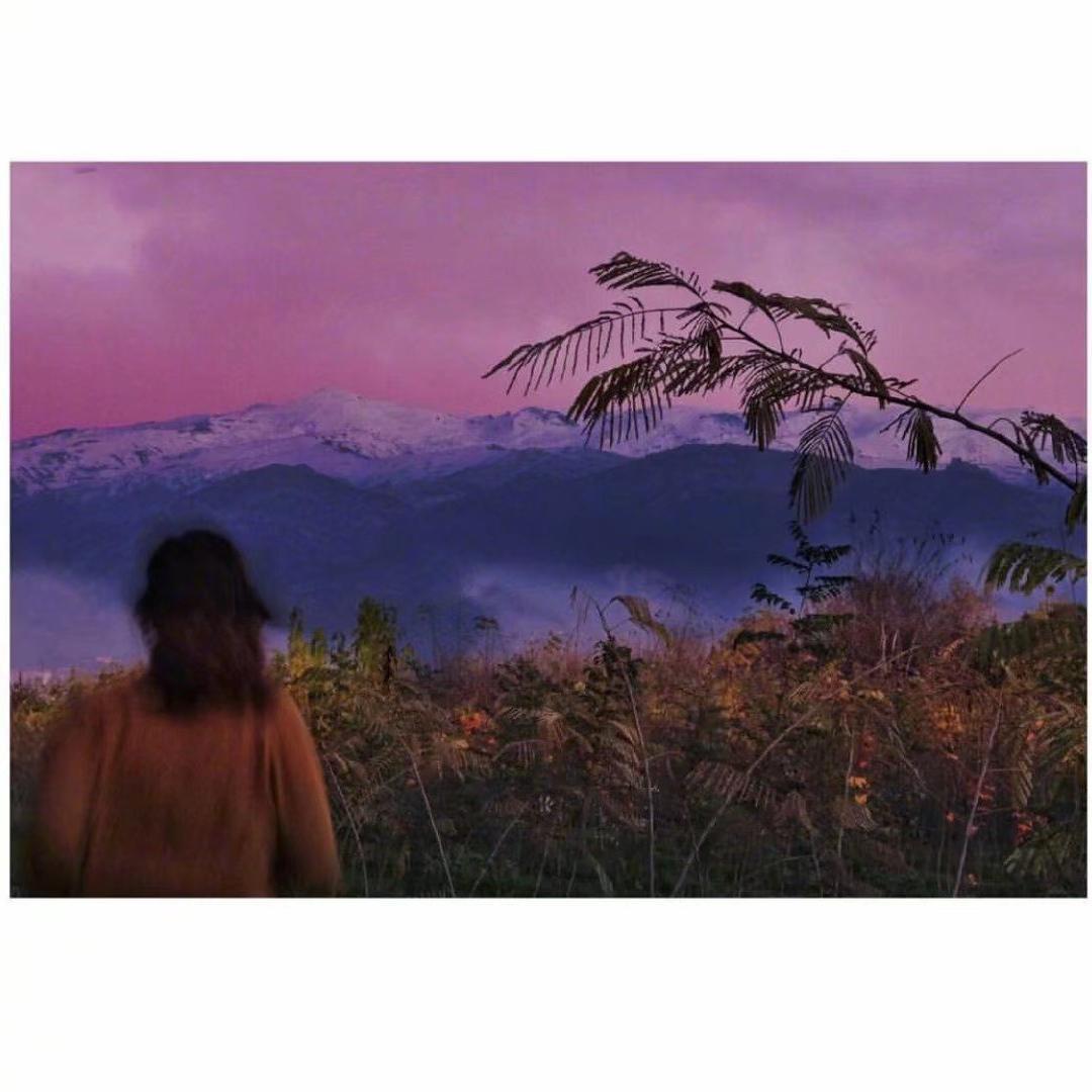 ✘