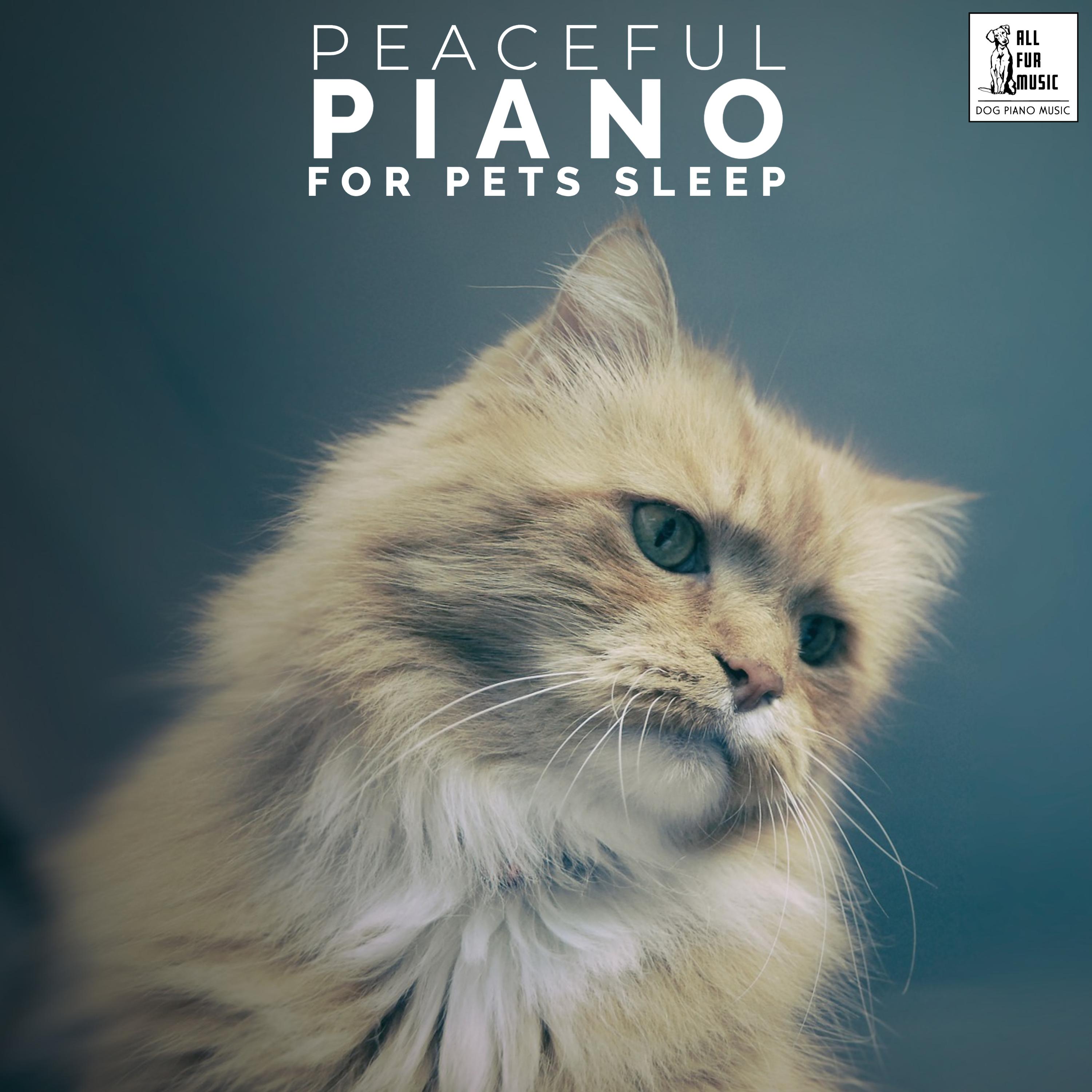 Peaceful Piano For Pets Sleep