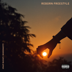 Reborn Freestyle