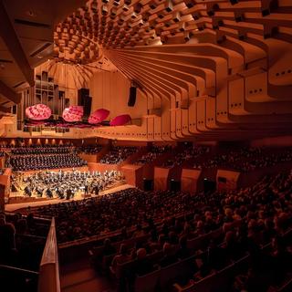 『仙品纯音乐』人类纯音乐巅峰之作