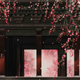春心寒：浮生花事了