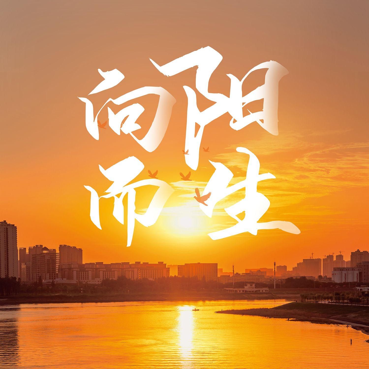 向阳而生