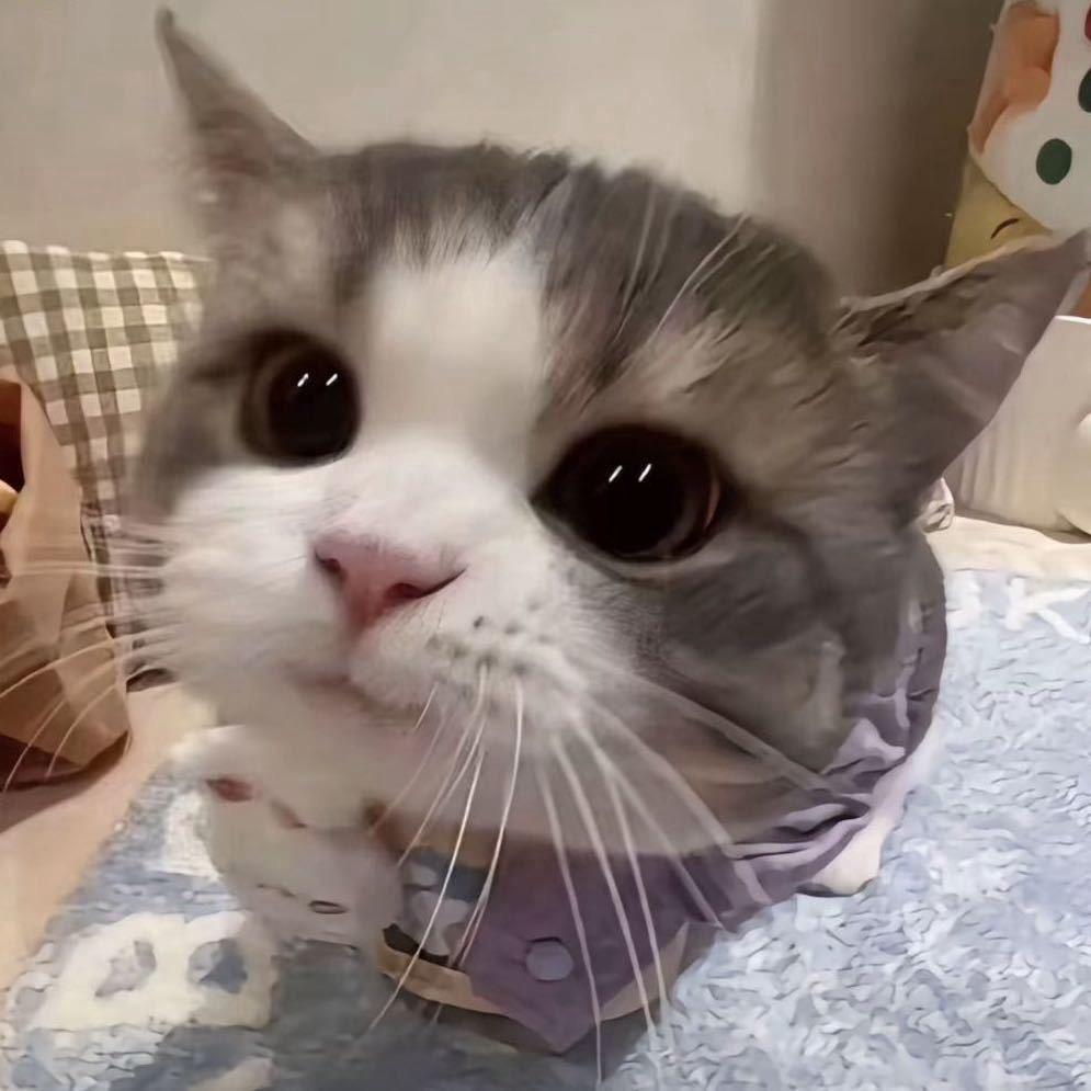 年轮说