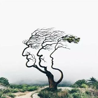 睡在被窝里听你婉婉道来的散文和诗歌