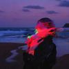 拿破仑进行曲2.0