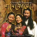 Voices From Tibet专辑