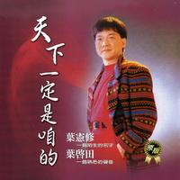 叶启田 - 妈妈请你不通痛(原版立体声伴奏)版本2