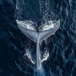 失乐后摇｜一个人的致郁圈