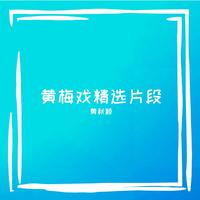 黄梅戏《两汪秋水》片段(歌友翻唱版)