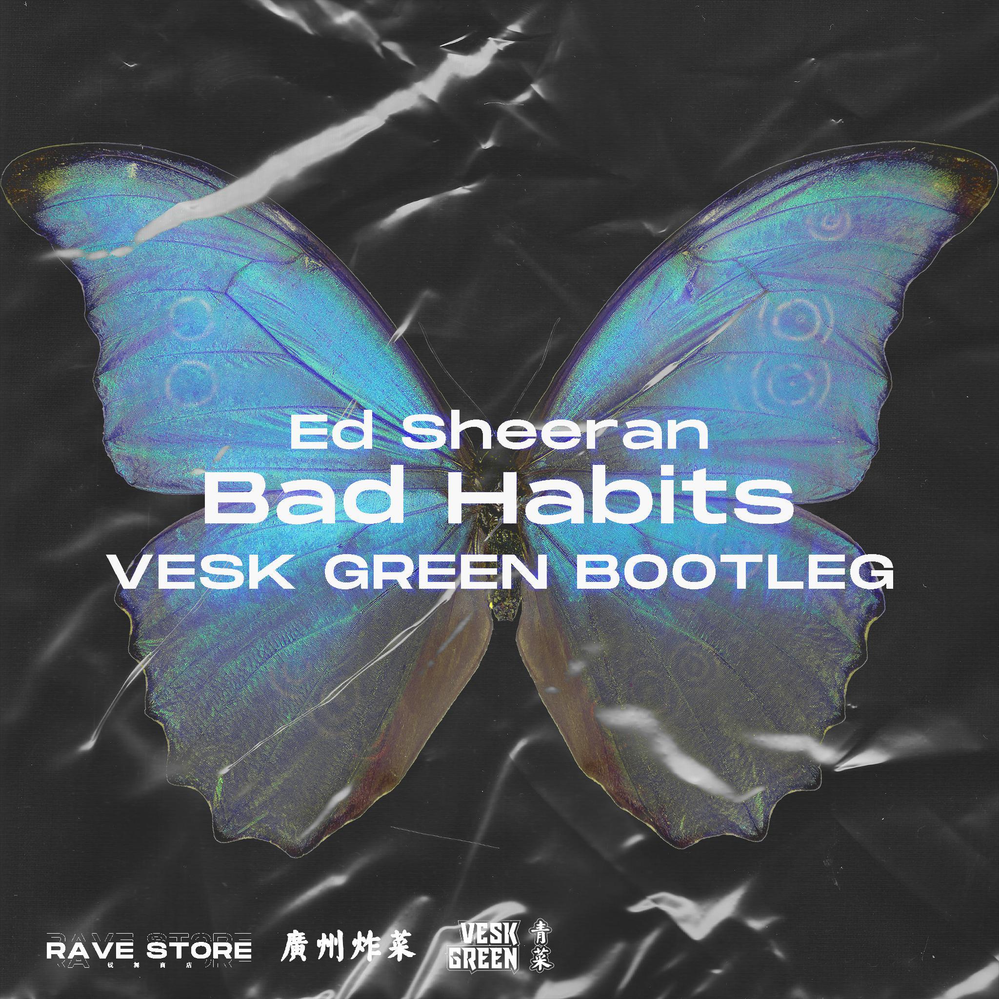 Bad Habits (VESK GREEN 青菜 Speed House Bootleg)