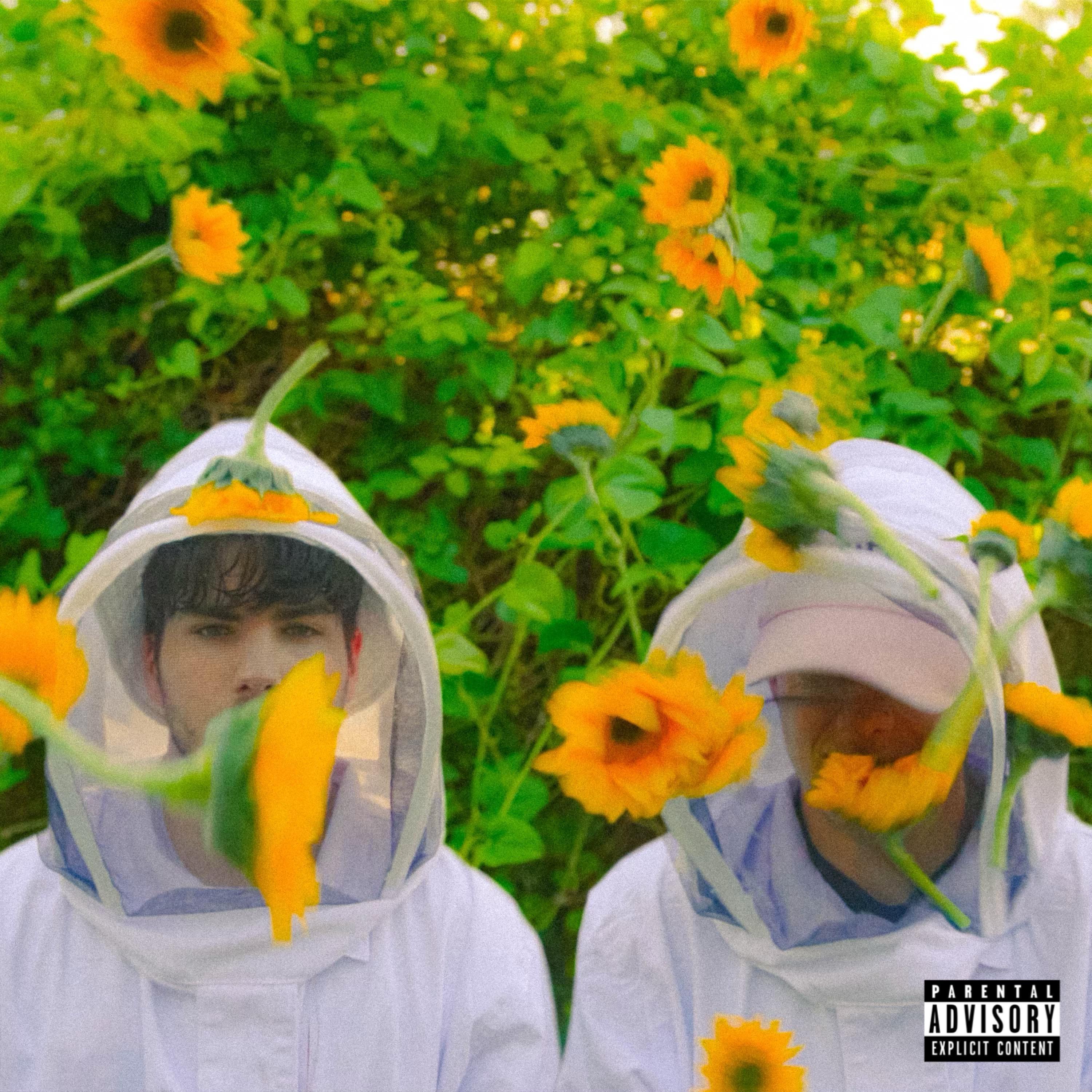 honeycomb. (Remix)