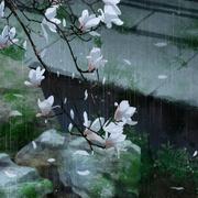 烟雨