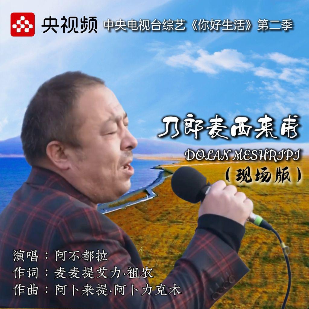 刀郎麦西来甫 (央视综艺《你好生活》第二季插曲)