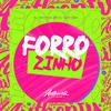 DJ BRUNIN JS - Forrózinho (feat. DJ GURIZÃO)