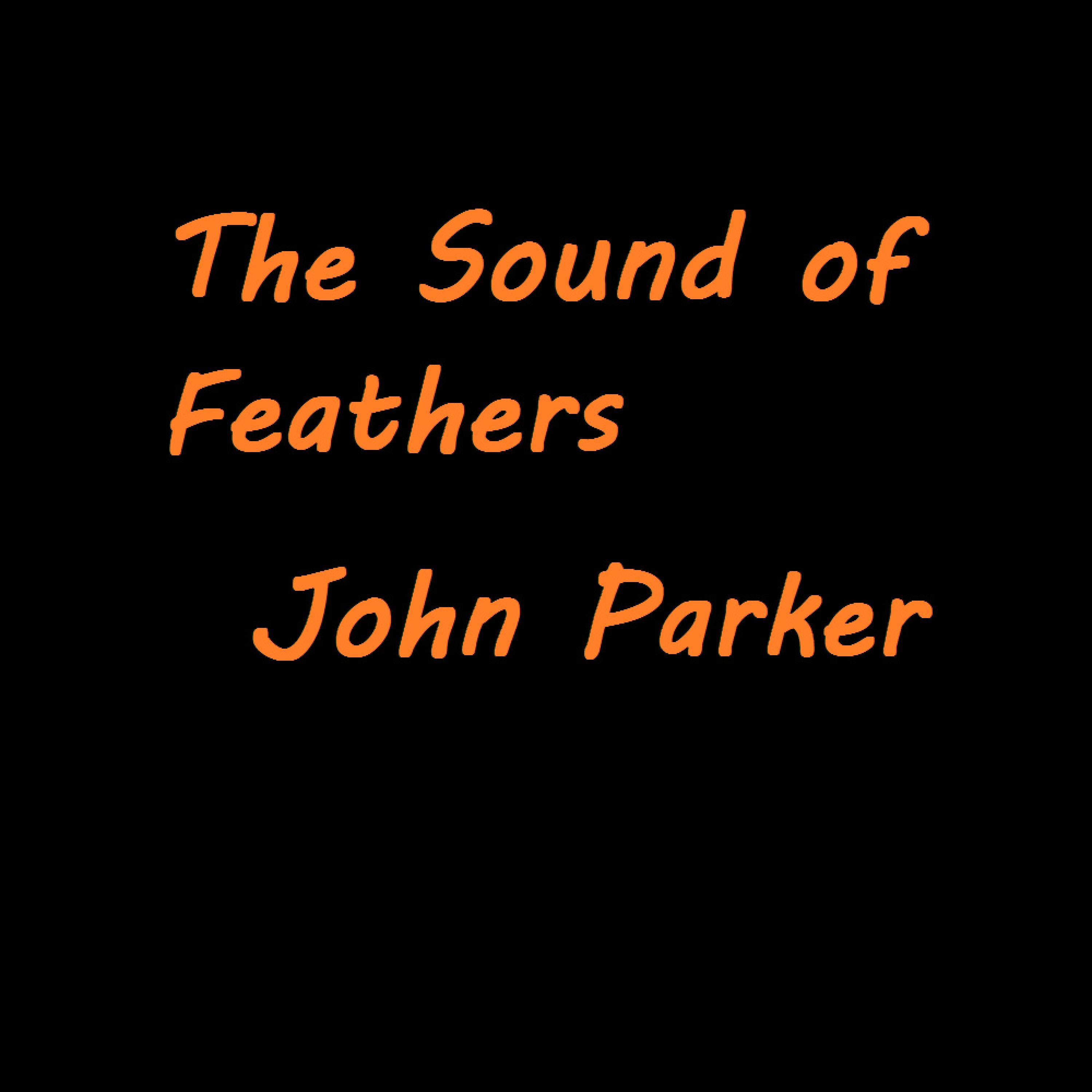 The Sound of Feathers