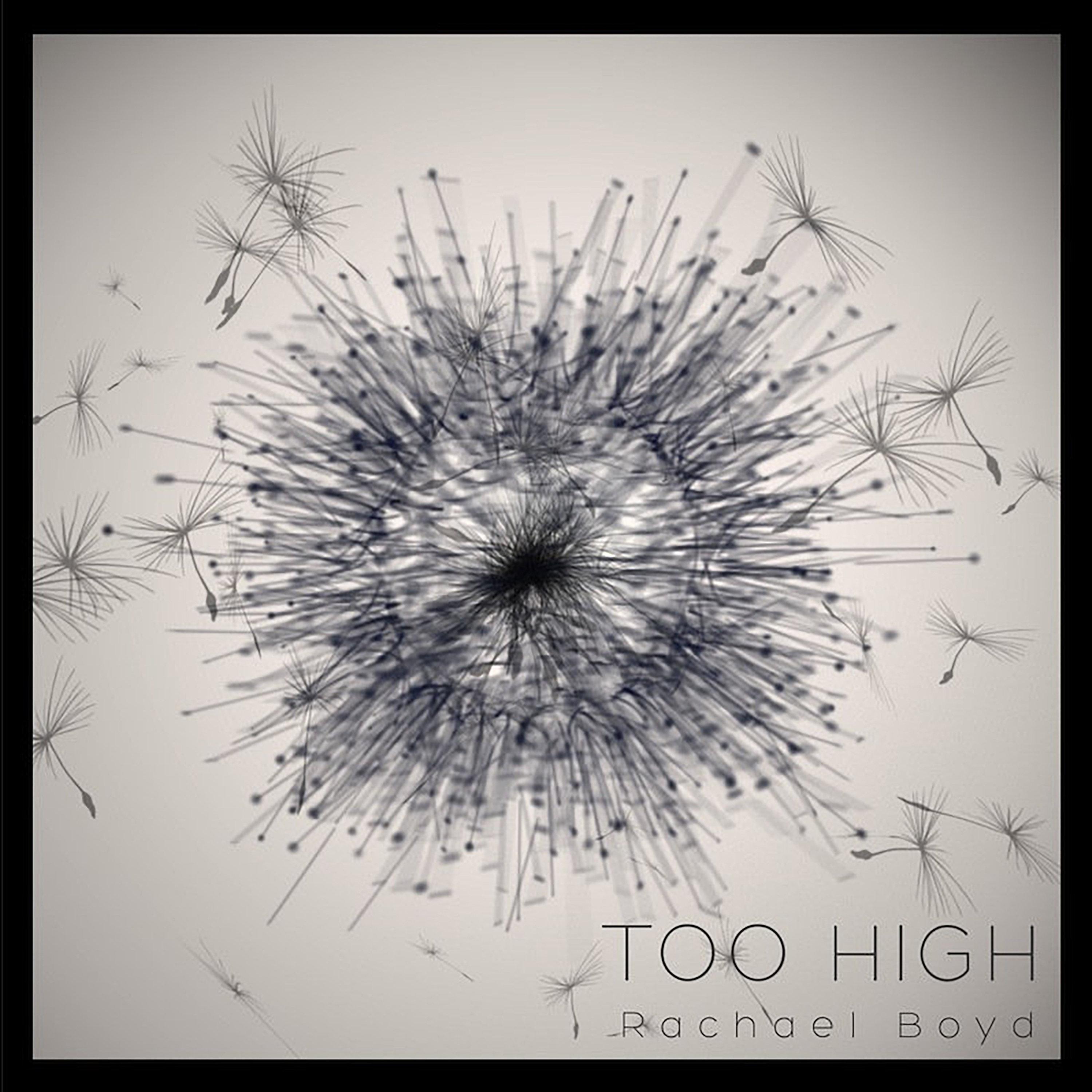 Rachael Boyd - Aim Too High