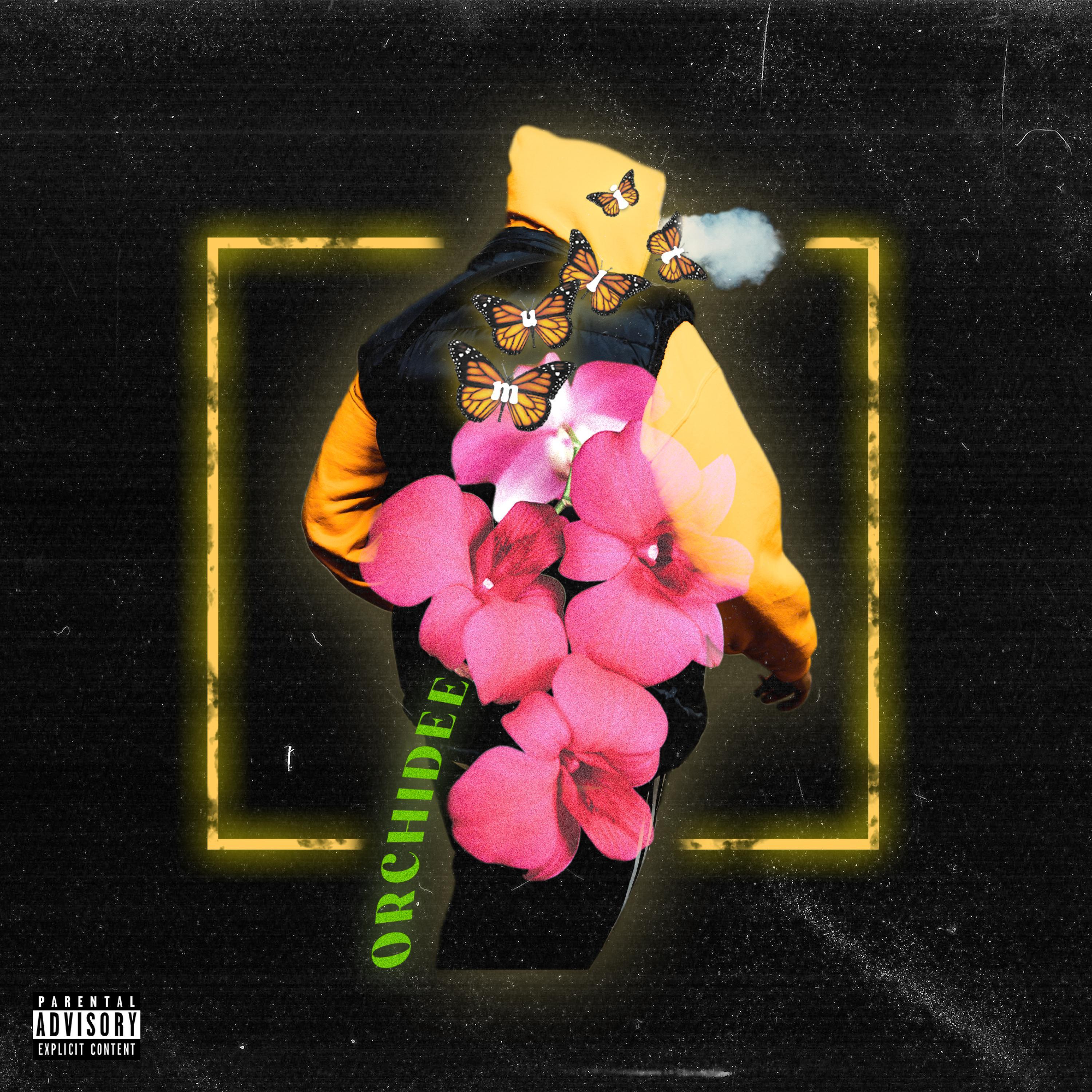 Orchidee