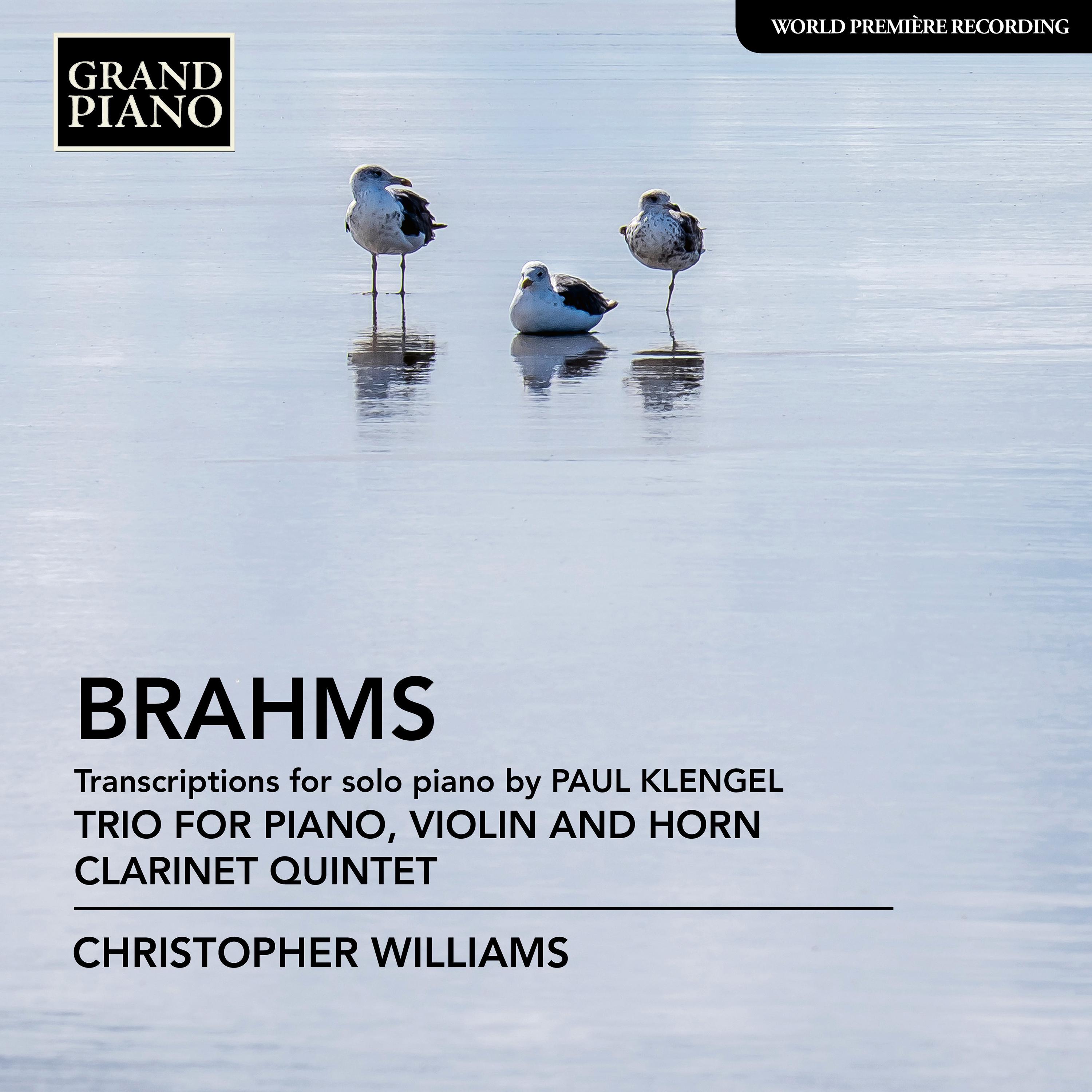 BRAHMS, J.: Trio for Violin, Horn and Piano / Clarinet Quintet (arr. P. Klengel for piano) (C. Williams)