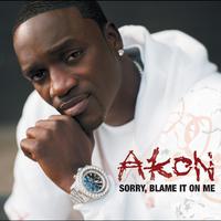 原版伴奏   Akon - sorry blame it on me (instrumental)