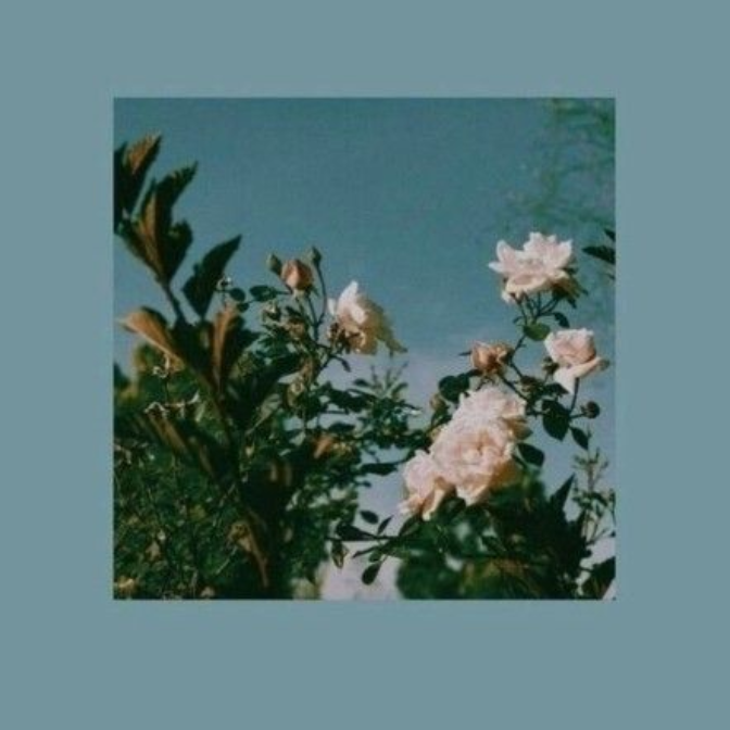 ~Novacane~