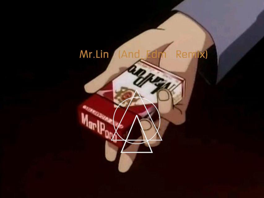 Mr.Lin (And_Edm Remix)专辑