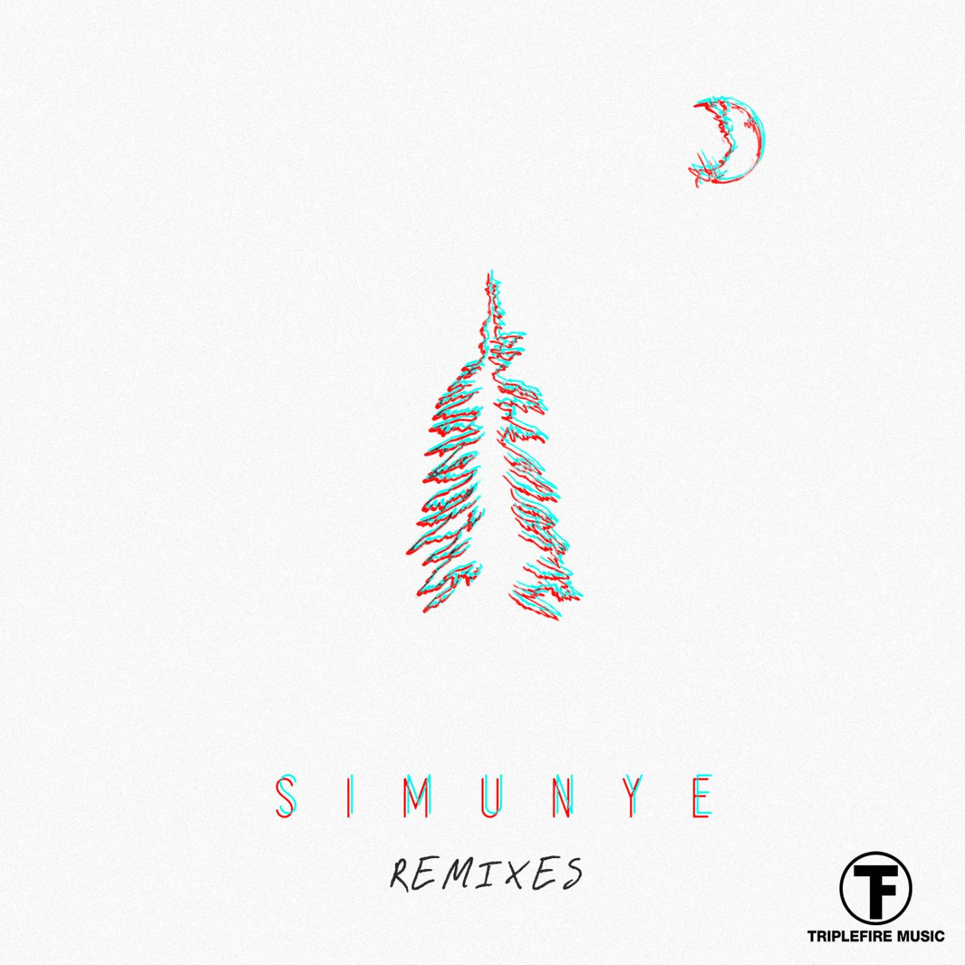 Simunye Remixes