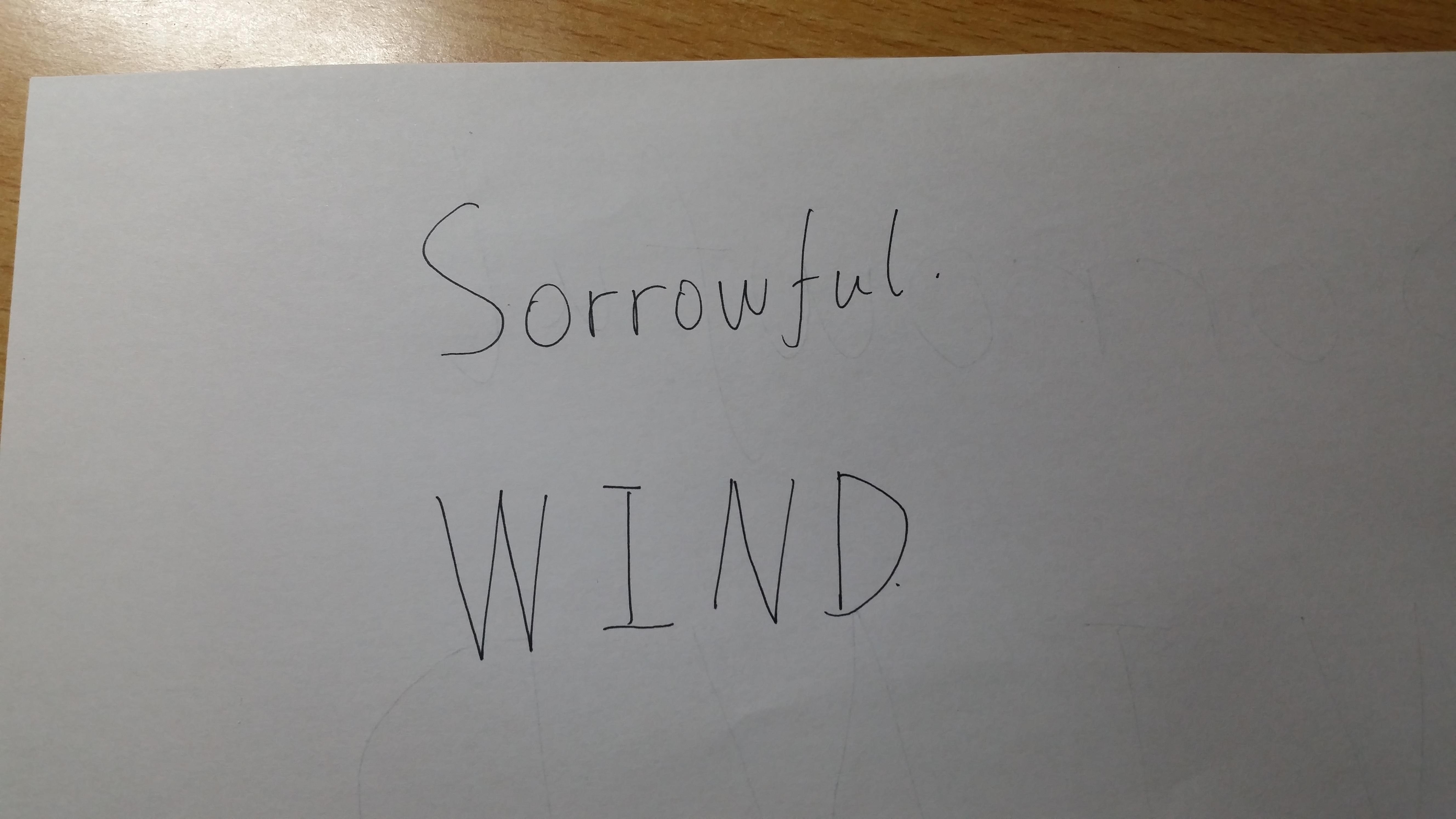 Wind Of Sorrow专辑