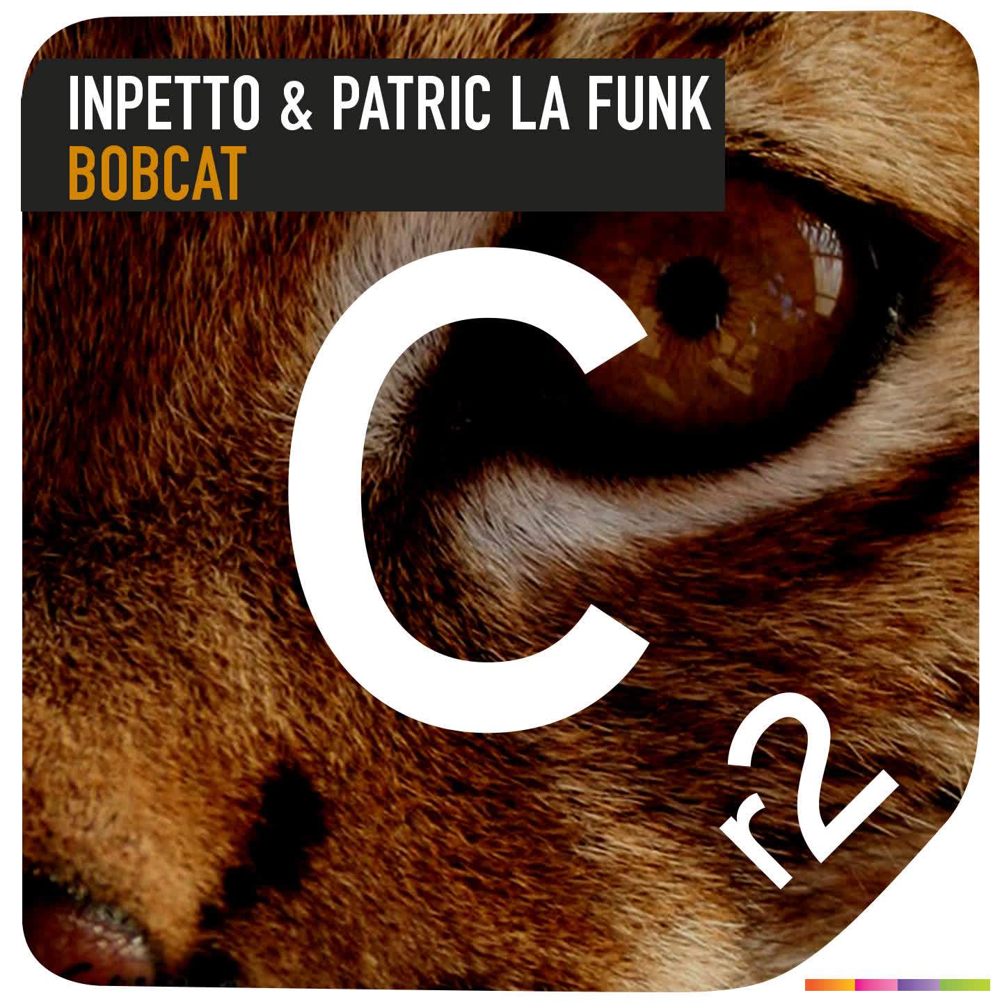 Bobcat