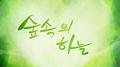 숲속의 하늘专辑