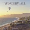 John Skyfield - Wonderwall