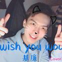 I wish you would专辑